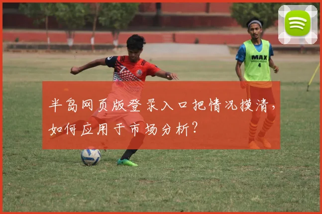 半岛网页版登录入口把情况摸清，如何应用于市场分析？