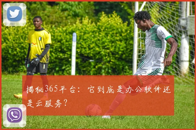 揭秘365平台：它到底是办公软件还是云服务？